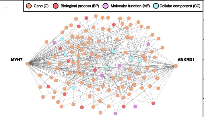 Open access visualization of Network, Pathway, Subgraph, Paths, Nodes