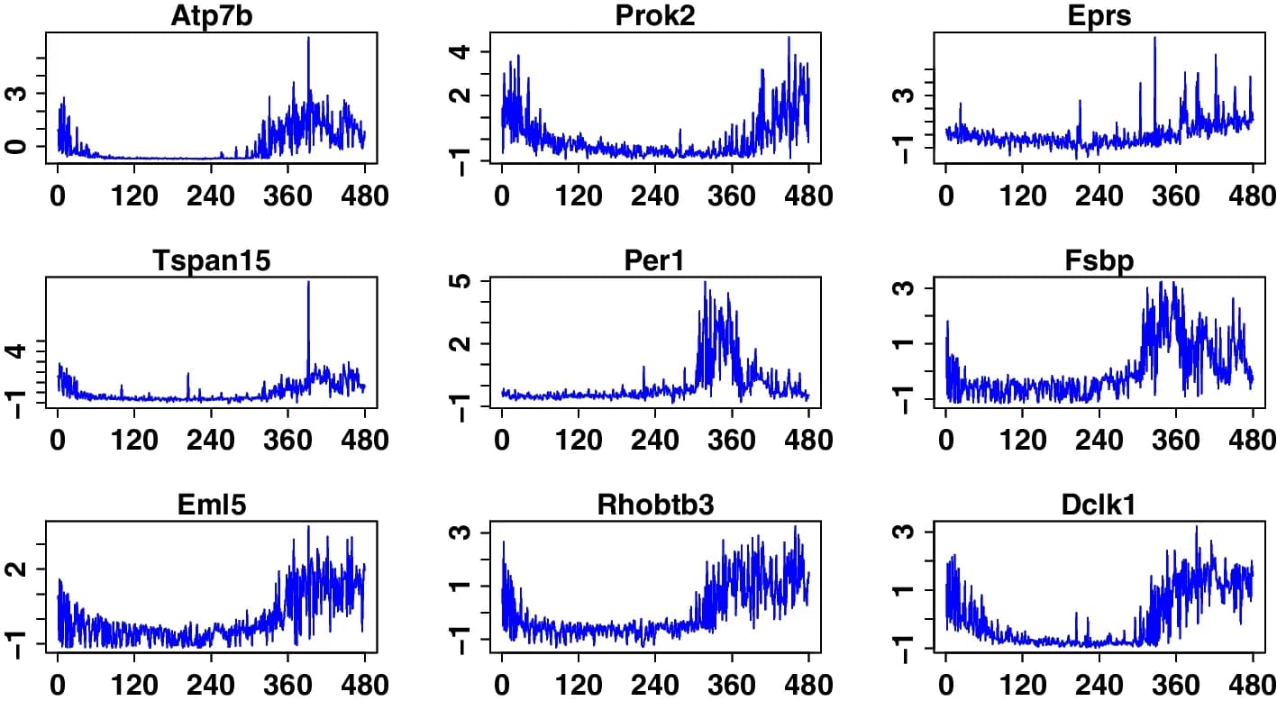 Open access visualization of Line Plot, Gene Expression, Time Series, Aanat Gene, Related Genes