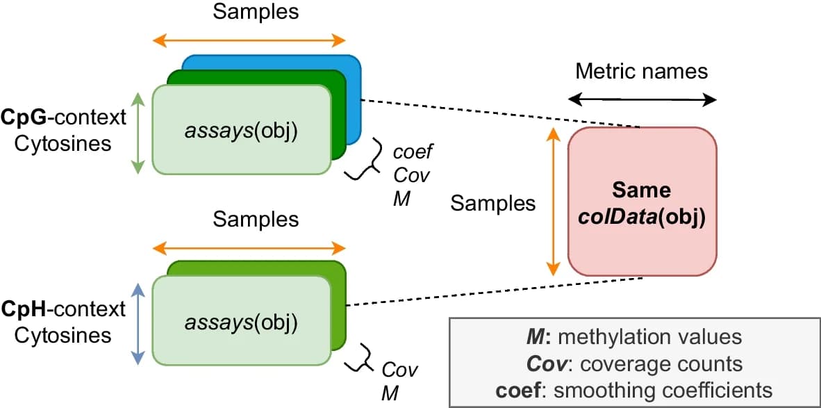 Open access visualization of Workflow, Illustration, bsseq output objects, Methylation proportion, Coverage information