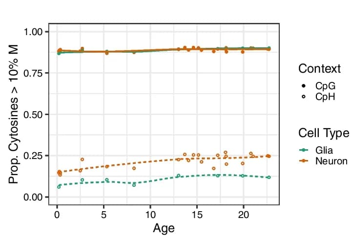Open access visualization of Line Plot, Scatter Plot, Methylated Cytosines, Age, Cell Type