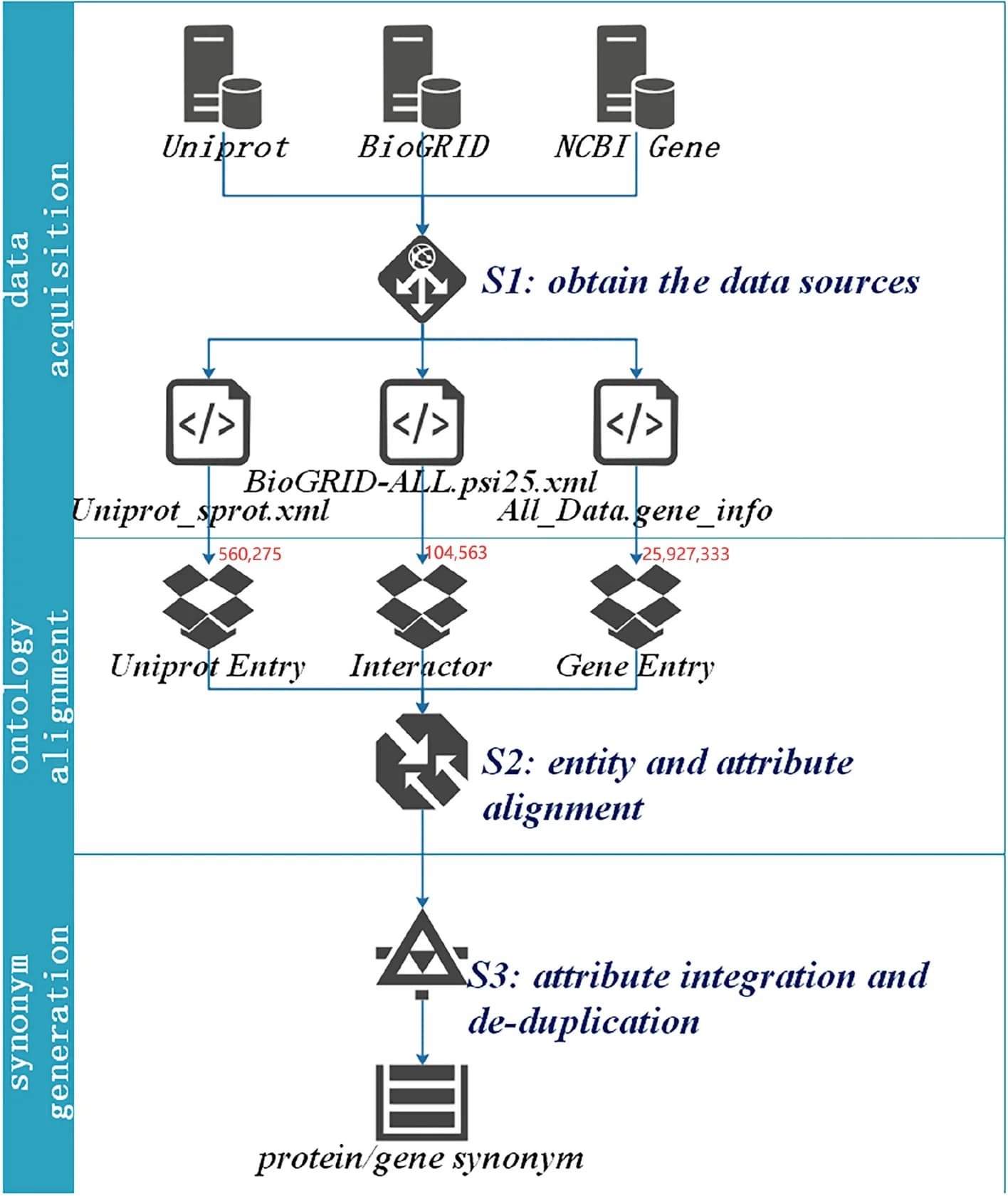 Open access visualization of Workflow, Flowchart, Protein, Gene, Synonym