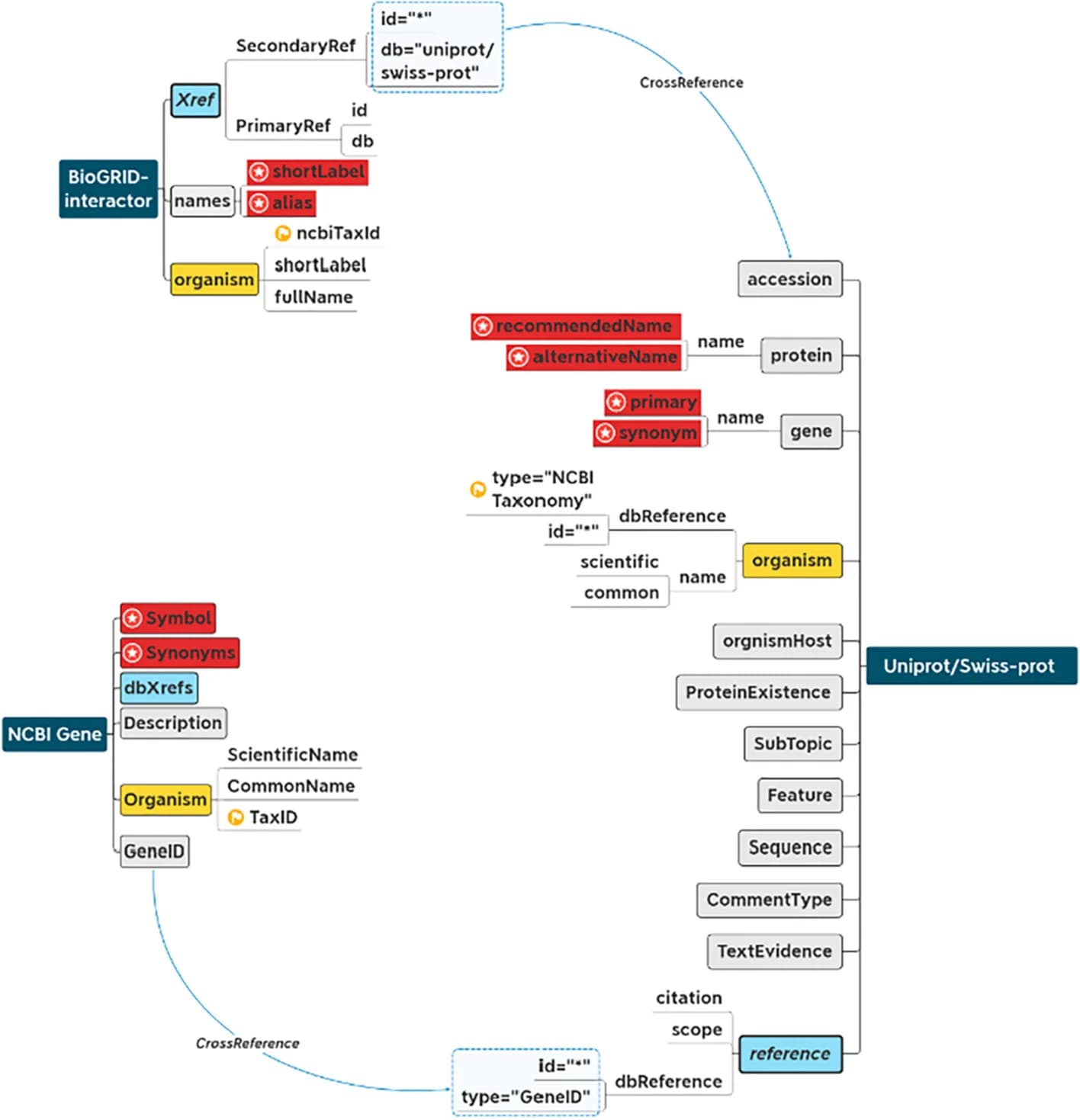 Open access visualization of Workflow, Flowchart, Immunohistochemistry, [CD31](https://www.uniprot.org/uniprotkb/P16284), [Tumor](https://www.ebi.ac.uk/ols/ontologies/uberon/terms?iri=http://purl.obolibrary.org/obo/UBERON_0002008) Tissue