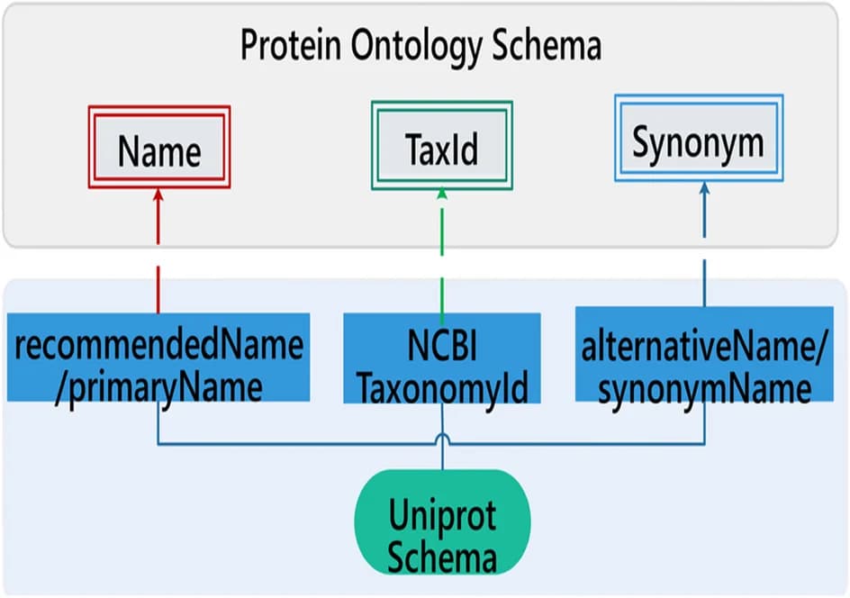 Open access visualization of Workflow, Flowchart, Protein, Ontology