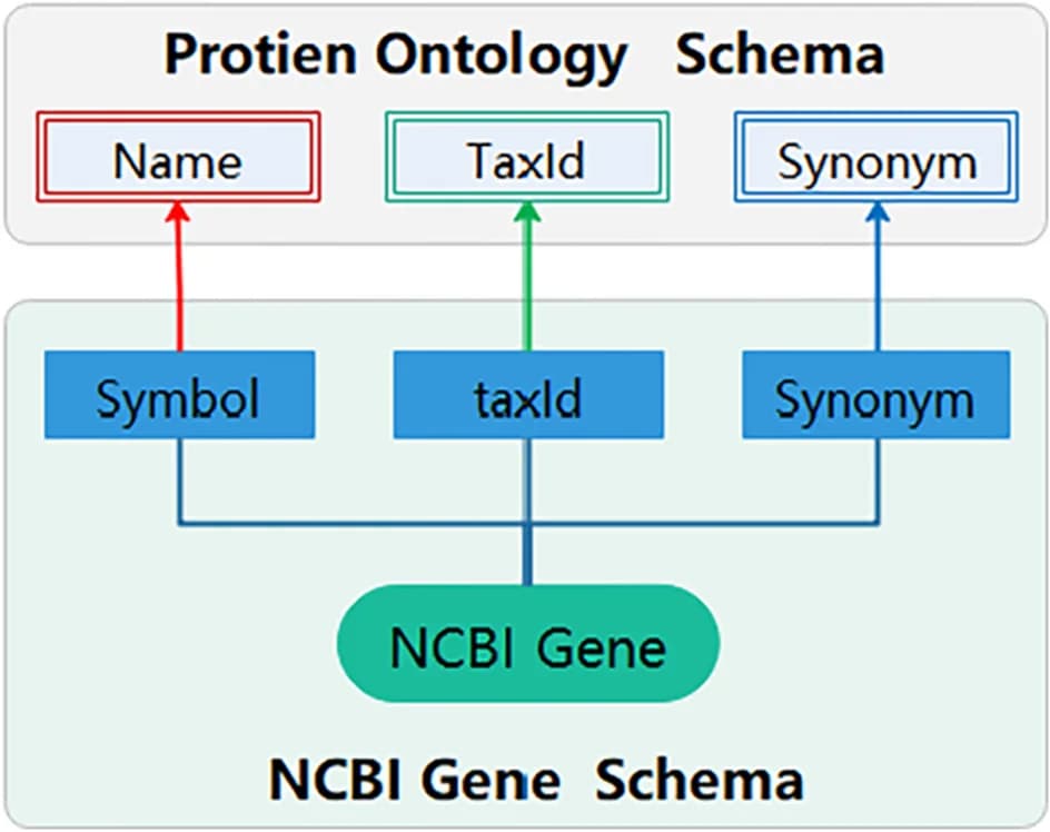 Open access visualization of Workflow, Flowchart, RNA-Seq, Differentially Expressed Genes, Functional Enrichment Analysis