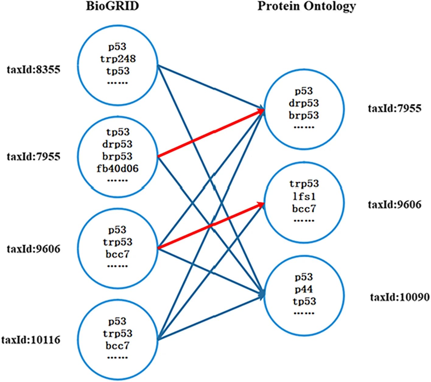 Open access visualization of Network, Pathway, RT-qPCR, CXCL12, SGC-7901 cells