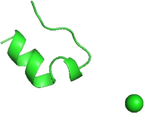 Open access visualization of Protein Structure, Trp-Cage, Miniprotein, Chloride Ion, Native State