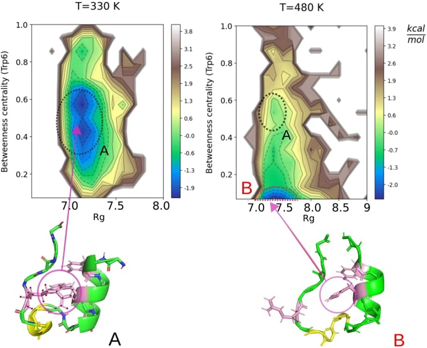 Open access visualization of Heatmap, Protein Structure, Free Energy Landscape, Trp-Cage, Radius of Gyration