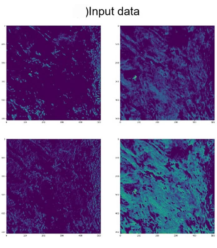 Open access visualization of Heatmap, Serial Models, Parallel Models, ResNet101, ResNet152