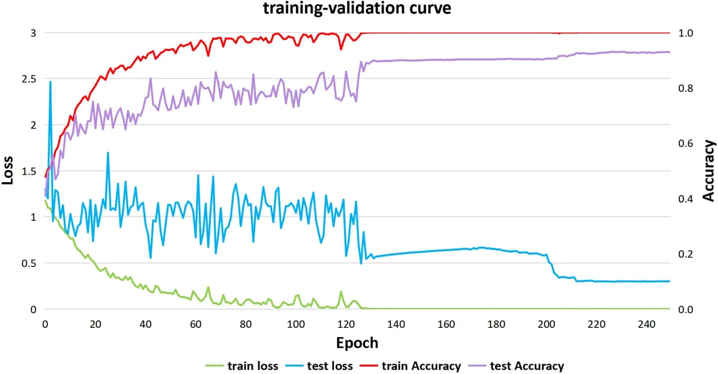 Open access visualization of Line Plot, Training-validation curve, HAHNet, Train loss, Test loss