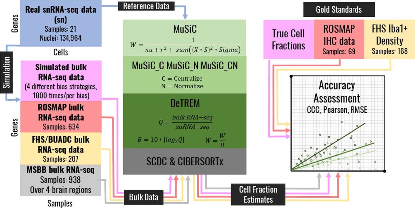 Open access visualization of Workflow, Scatter Plot, Study Design, Bulk RNA-seq, snRNA-seq