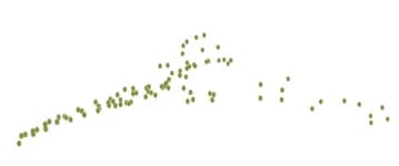 Open access visualization of Scatter Plot, Skeleton Points, Surface Points, DPC