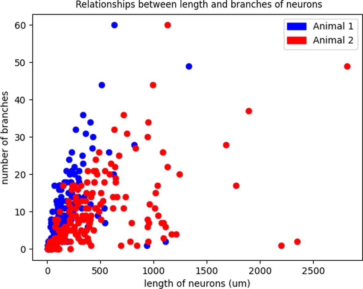 Open access visualization of Scatter Plot, Neurons, Animal 1, Animal 2, Dataset 1