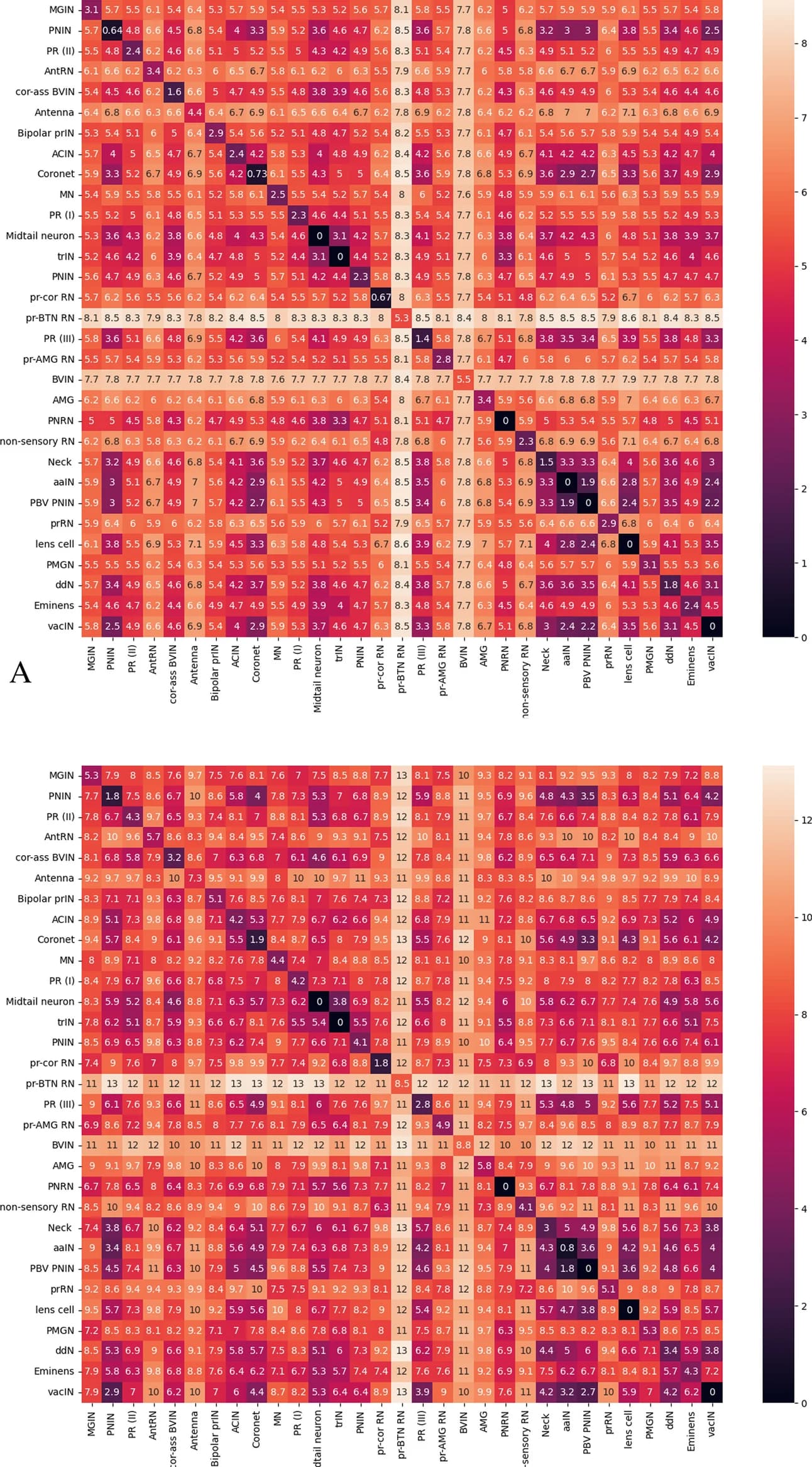 Open access visualization of Heatmap, Neuron Morphology, Euclidean Distance, Skeleton Graph