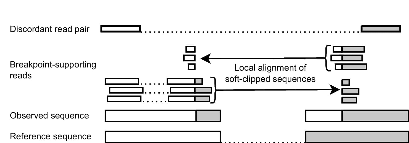 Open access visualization of Workflow, Illustration, Discordant Read Pairs, Fusion Transcript, Soft-clipped Ends