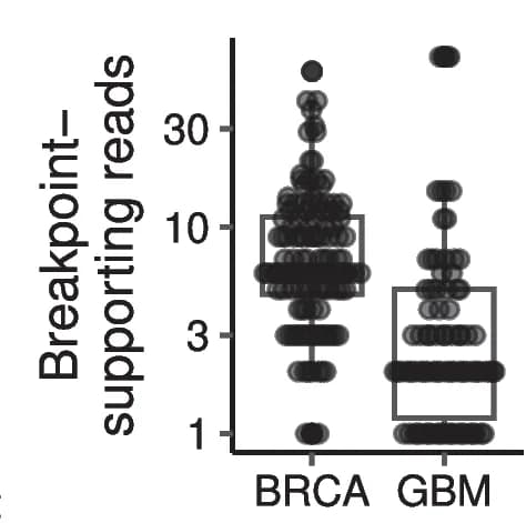 Open access visualization of Box Plot, Scatter Plot, BRCA, Genomic Breakpoint, Reads