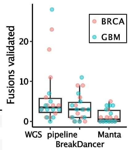 Open access visualization of Box Plot, Scatter Plot, Fusion Validation, BreakDancer, Manta