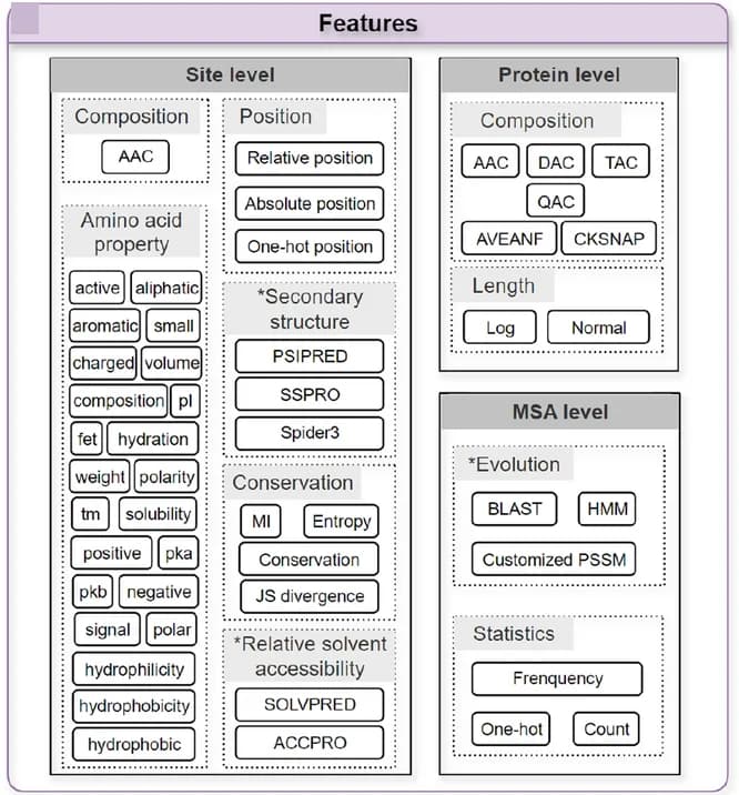 Open access visualization of Workflow, Flowchart, Table Image, Feature Generation, Protein Sequences