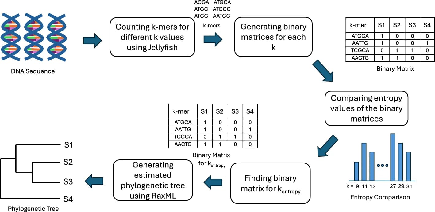Open access visualization of Workflow, Bar Plot, Phylogenetic Tree, Table Image, PEAFOWL