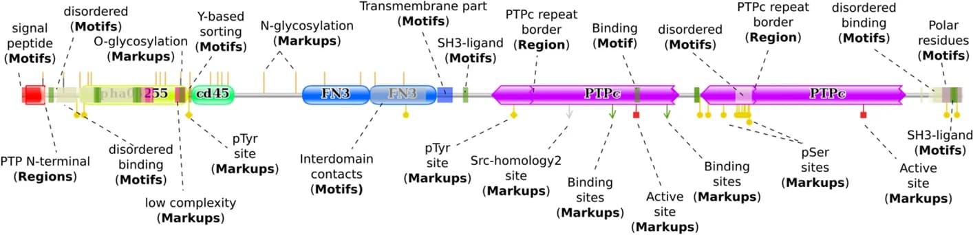 Open access visualization of Illustration, Workflow, UniProt, NCBI GenPept, SMART