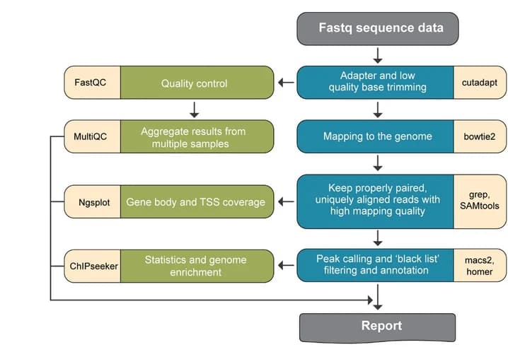 Open access visualization of Workflow, Flowchart, Analysis Workflow, Software