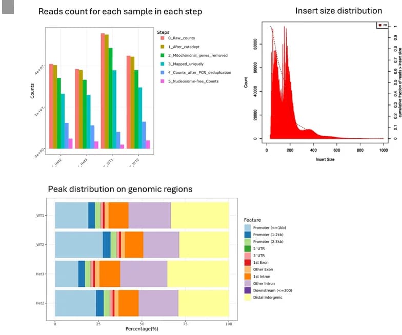 Open access visualization of Bar Plot, Stacked Bar Plot, Line Plot, Density Plot, Pipeline Report