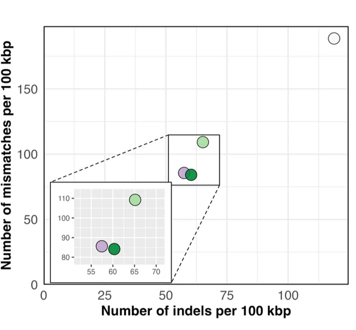 Open access visualization of Scatter Plot, Indels, Mismatches, D. melanogaster, GoldRush assembly