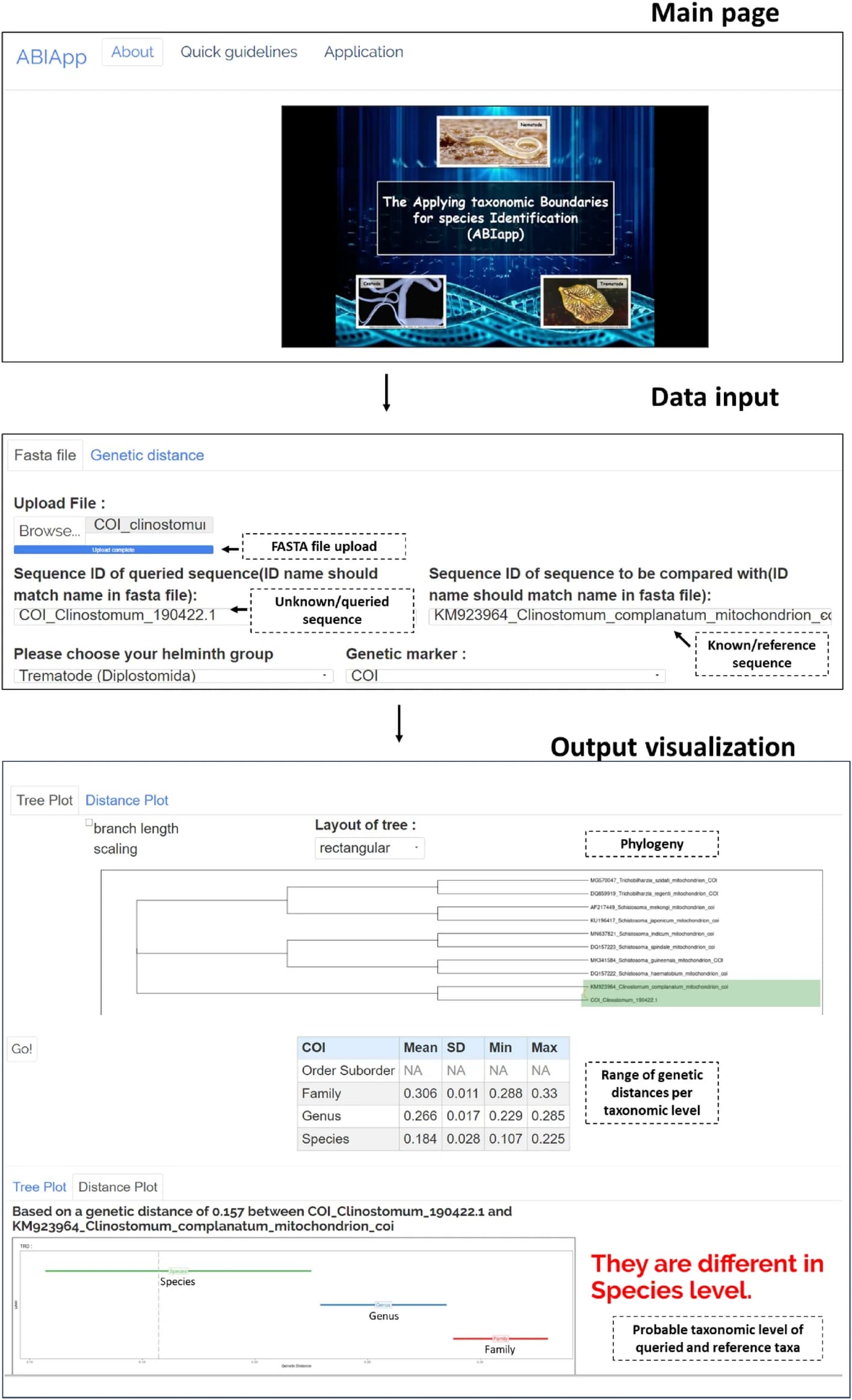 Open access visualization of Network, Phylogeny, Line Plot, ABIapp Interface, Input Data Options