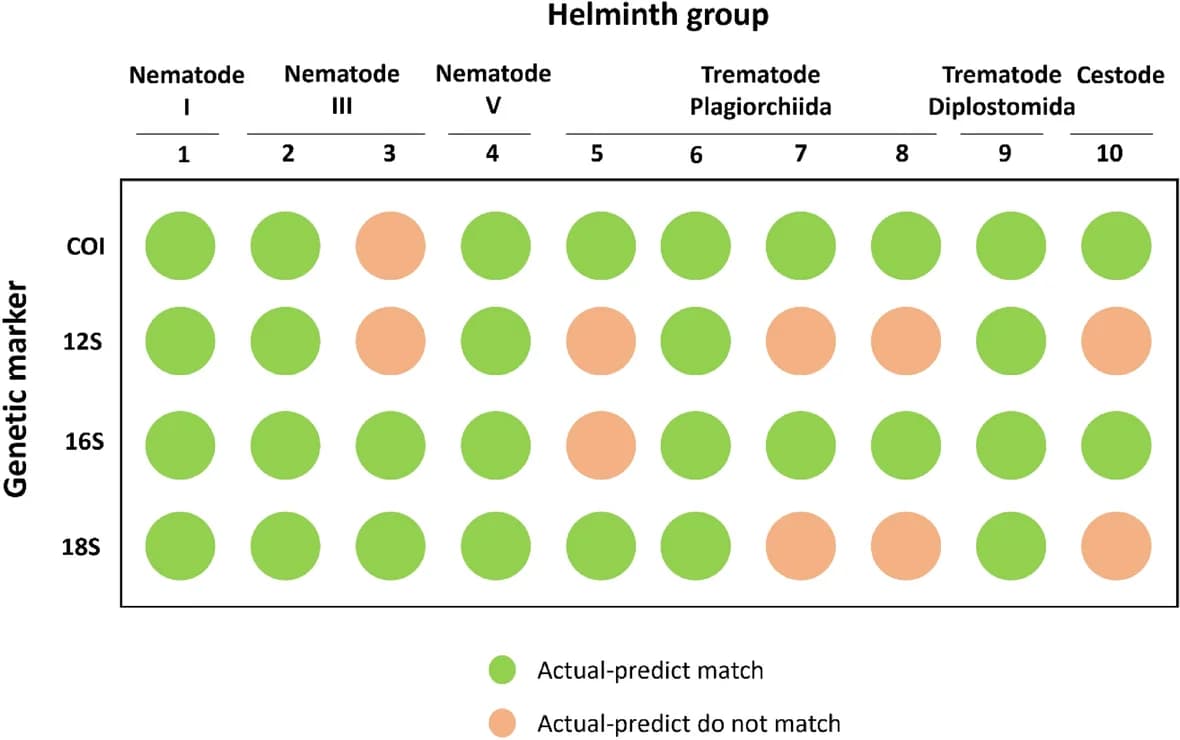 Open access visualization of Table Image, ABIapp Classification, Genetic Markers, Helminth Species, Classification Accuracy