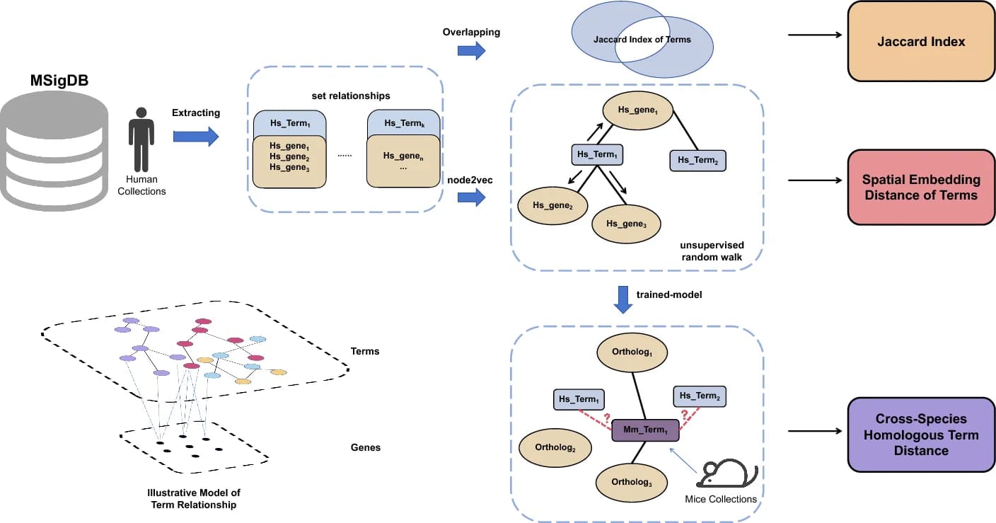 Open access visualization of Workflow, Illustration, Network Analysis, Biological Terms, Data Visualization