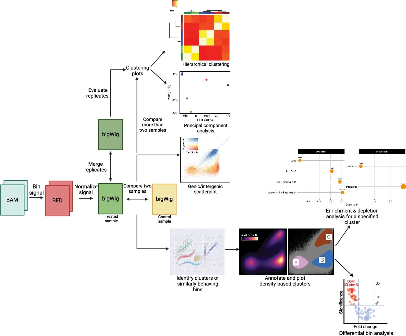 Open access visualization of Workflow, Scatter Plot, Heatmap, PCA, Volcano Plot