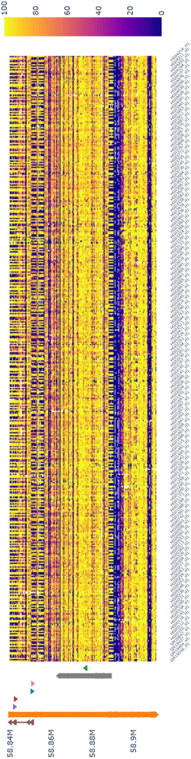 Open access visualization of Heatmap, GNAS, Methylation, 1000 Genomes Project, ONT Sequencing