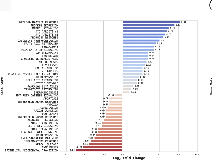 Open access visualization of Bar Plot, D-GSVA, MSigDB Hallmarks, Gene Sets, Primary Samples