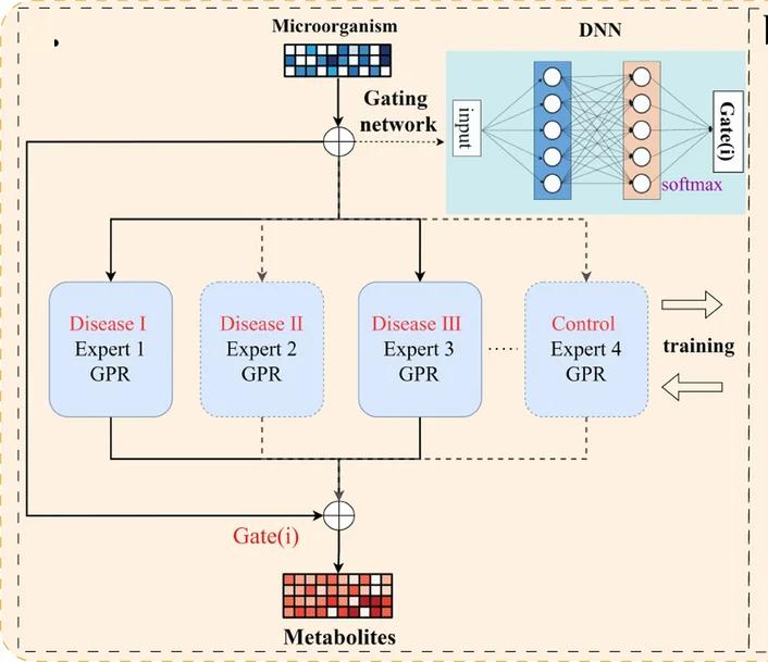 Open access visualization of Workflow, Flowchart, DMoVGPE Model, Gating Network, Neural Network
