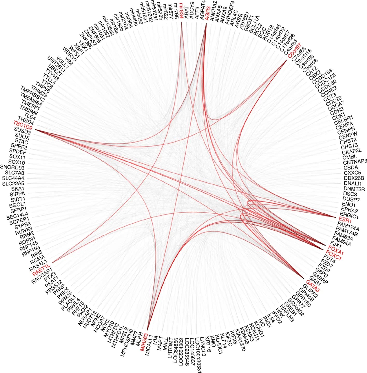 Open access visualization of Chord, BRCA, Genes, Attention Score, Nodes