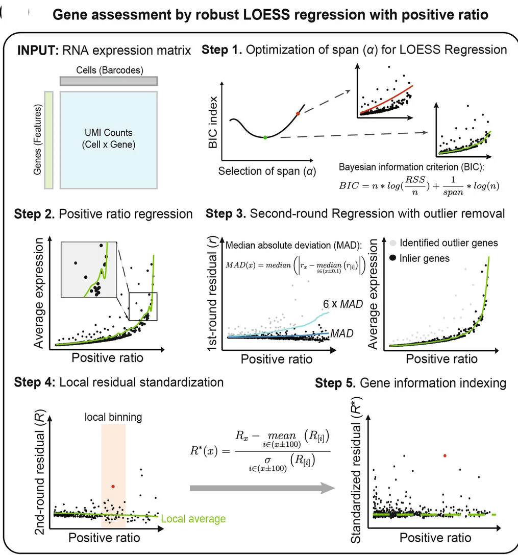 Open access visualization of Scatter Plot, Line Plot, GLP Workflow, RNA expression matrix, LOESS Regression