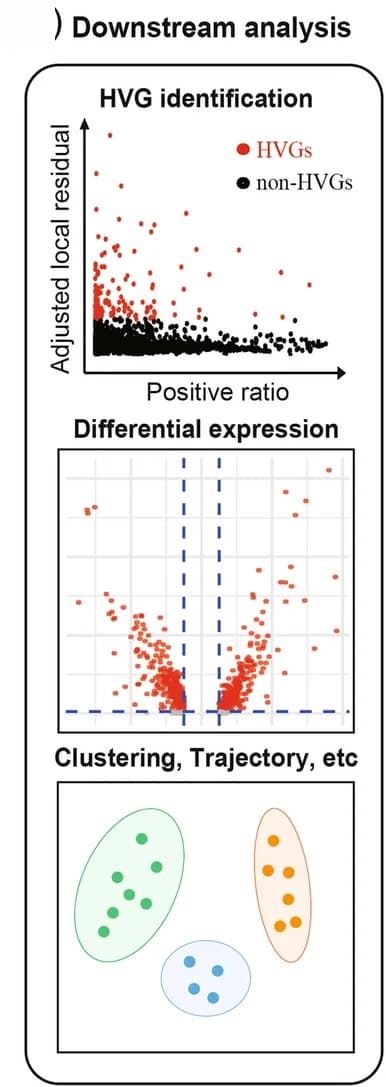 Open access visualization of Scatter Plot, Volcano Plot, Downstream Analysis, Gene Sets, Highly Variable Genes