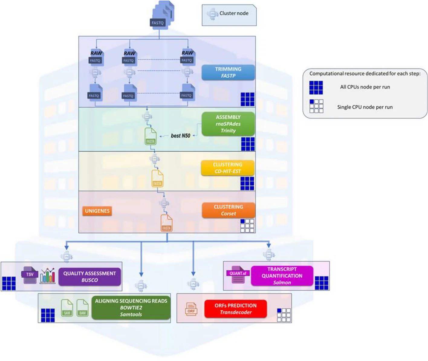 Open access visualization of Workflow, Flowchart, HPC-T-Assembly Pipeline, Quality Control, De Novo Assembly
