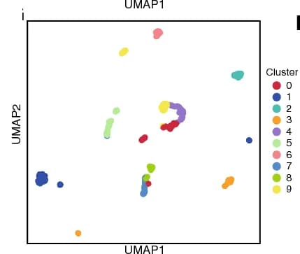 Open access visualization of Scatter Plot, UMAP, K-means Clustering, Embeddings, Ery_0 Stage