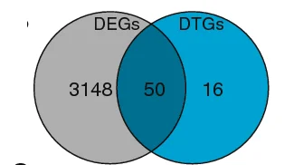 Open access visualization of Venn Diagram, Venn Diagrams, DEGs, DTGs, Glioblastoma