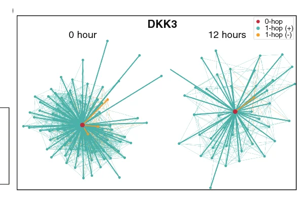 Open access visualization of Network, Network Structures, DTGs
