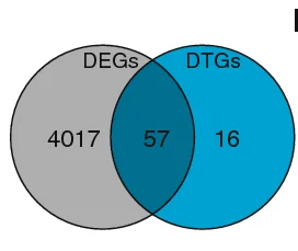 Open access visualization of Venn Diagram, Venn Diagrams, DEGs, DTGs, BMMC