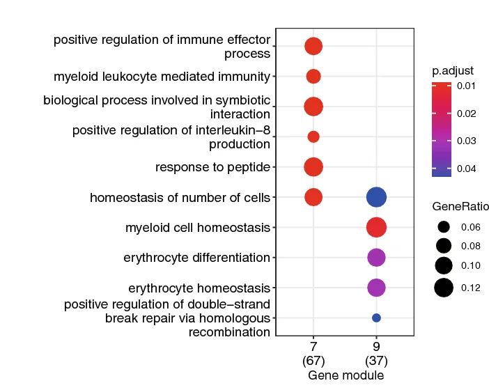 Open access visualization of Bubble Plot, Dot Plot, Gene Ontology, Biological Process, Gene Module