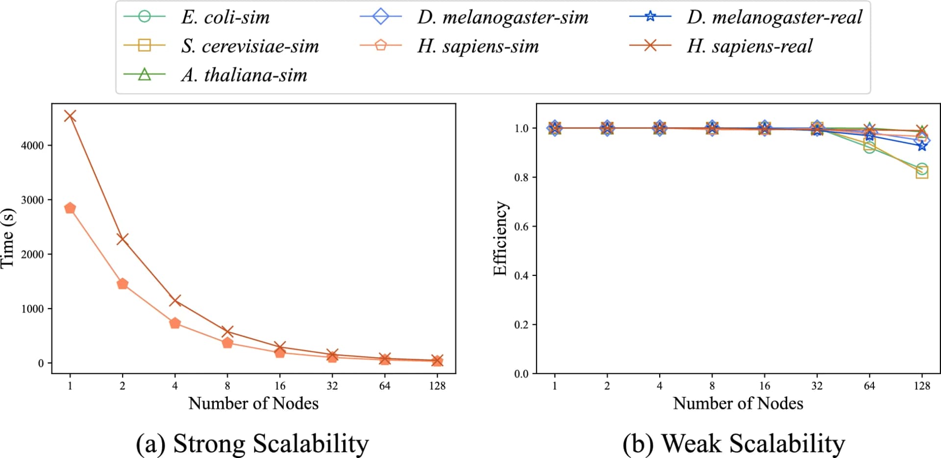 Open access visualization of Line Plot, Strong Scalability, ParaHAT, Real Datasets, Simulated Datasets