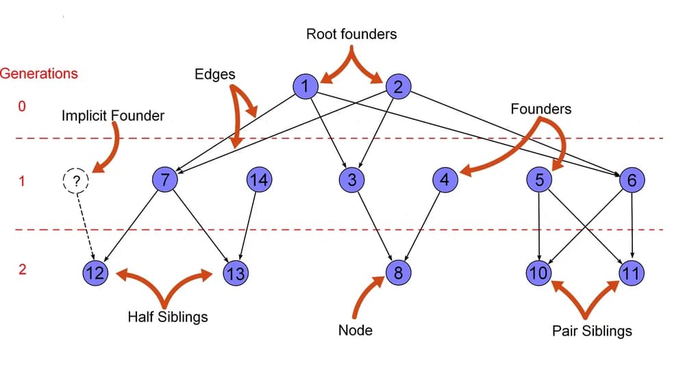 Open access visualization of Network, Pathway, Pedigree, Family, Definitions