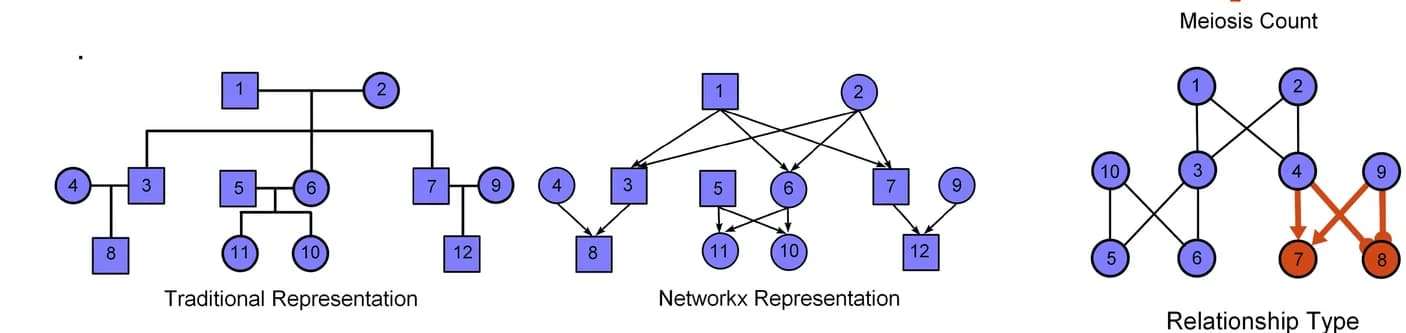 Open access visualization of Network, Pathway, Pedigree, Networkx, Directed Acyclic Graph