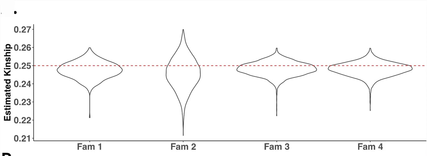 Open access visualization of Violin Plot, Kinship, Parent-Child Relationships, Families