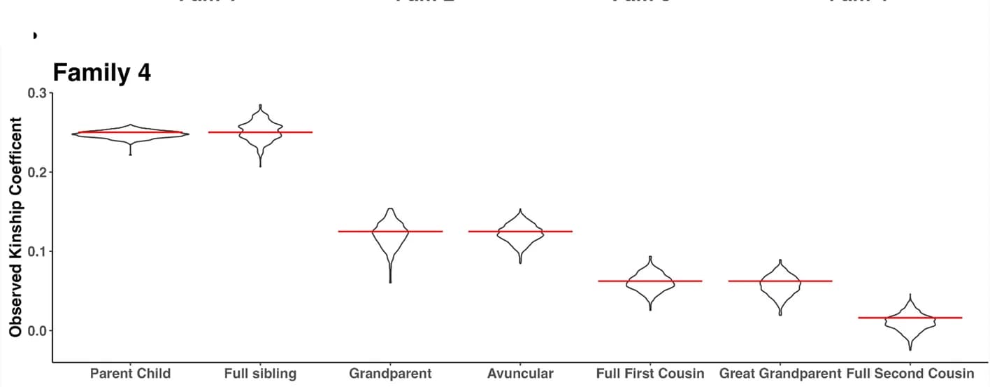 Open access visualization of Violin Plot, Kinship, Family