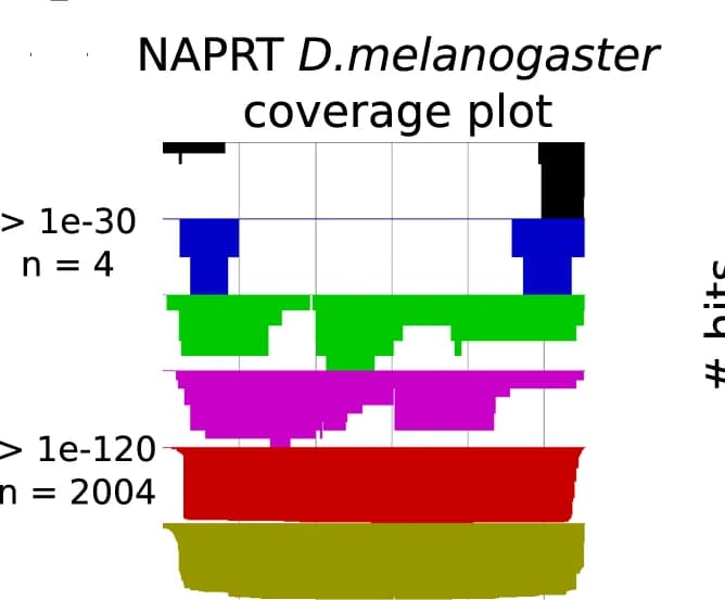 Open access visualization of Line Step, Hit Coverage Plot, Drosophila melanogaster, BLAST Output, Sequence Alignment
