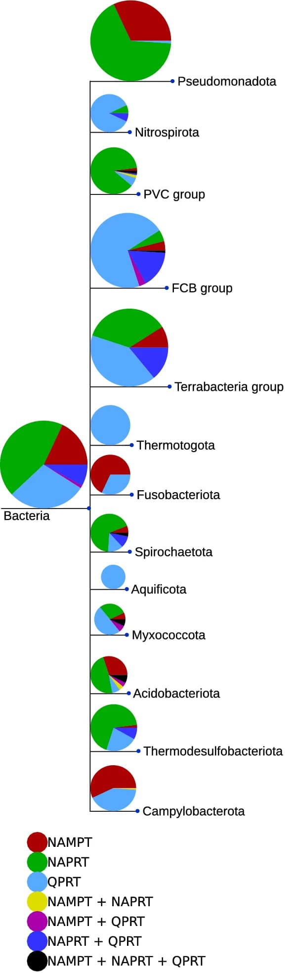 Open access visualization of Pie Chart, Bacteria, NAMPT, NAPRT, QPRT