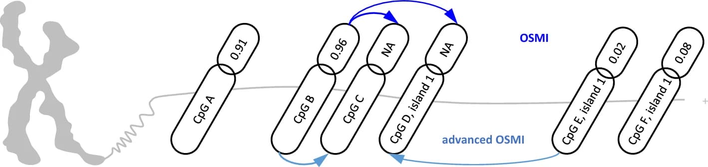 Open access visualization of Workflow, DNA Methylation, CpG Site, CpG Island, OSMI